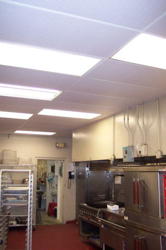 Washable pvc ceiling tiles - ecotile techno 2&#039; x 4&#039; white lay-in tile mold free for sale