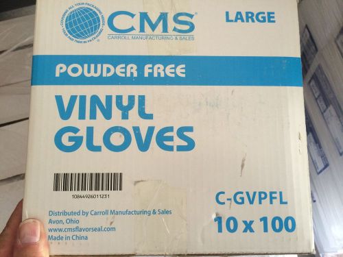 1000 Count Vinyl Gloves Powder Free for Food Service (Free Shipping USA) Large