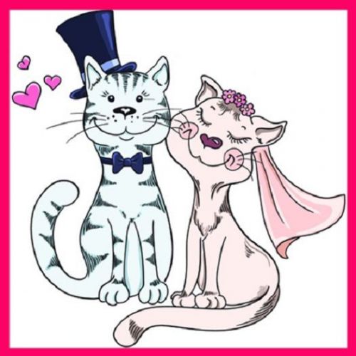 30 Custom Cat Love Personalized Address Labels