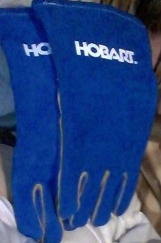 Hobart Deluxe Blue  Gloves -  770420