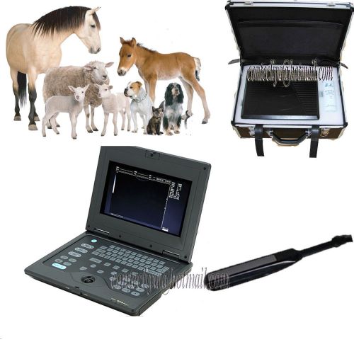 Promotion!CE VET Veterinary Use Software B-Ultrasound Scanner with Rectal Probe