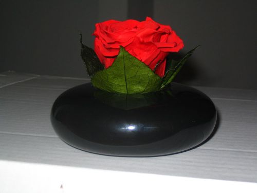 One Kit Enduring Real Red Rose with Artisanal Ceramic Vase/Plate. USA Seller