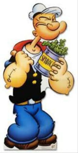 30 Personalized Return Address Labels POPEYE!
