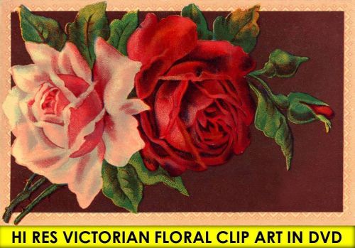 HI RES Vintage VICTORIAN FLORAL CLIPART Postcards Design Pictures Paintings DVD