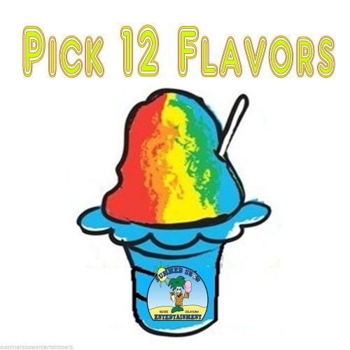 Shaved Ice Sno Cone Flavor Syrup Mix Concentrate Snow Kone Mix  ***12 PACK** 1oz