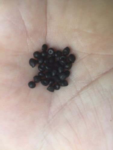 VIRGIN BLACK HDPE Plastic Pellets Resin Material 20 Lbs Injection Molding