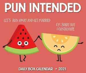 Pun Intended, 2021 Box Calendar by Willow Creek