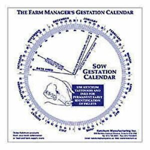 Swine Gestation Calendar Calculate Birth Breeding