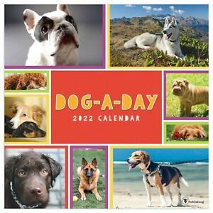 TF Publishing Dog-A-Day 2022 Wall Calendar w
