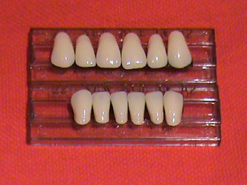 1 SET ACRYLIC ANTERIOR DENTURE/FALSE TEETH   SHADE  A3 SIZE 22