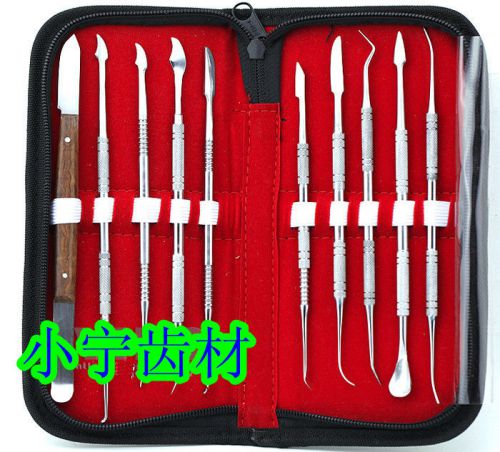 Dental Dentist Tarter Scraper and Remover Set Surgical Dental Instruments DDP