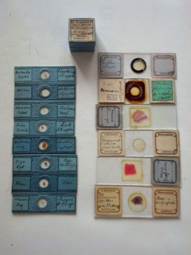 Lot of 14 Microscope Slides and Extra Glass from 1860s (A-0190)