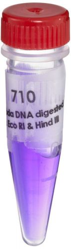 Edvotek 710 Lambda DNA Digested with Eco RI and Hind III, 20g, For 20 Gels