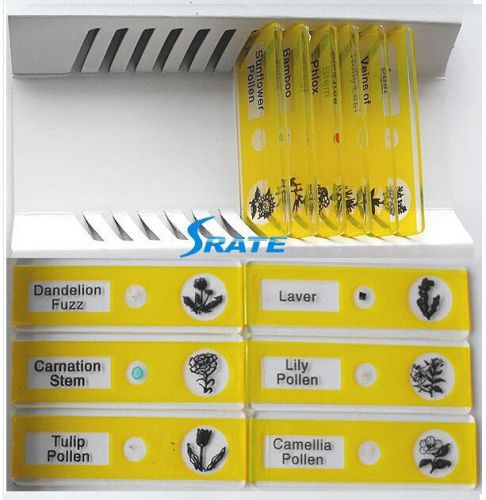12pcs yellow flowers plastic prepared microscope slides biological specimen for sale