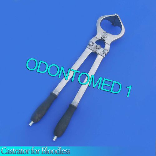 Castrator for Bloodless castration ( Emasculatome ) 19&#034;
