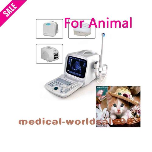 Monitor digital ultrasound scannerv machine micro-convex&amp;convex probes animal for sale