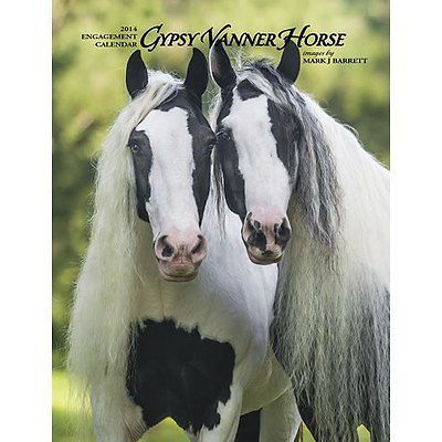 Gypsy Vanner Horse 2014 Engagement Calendar