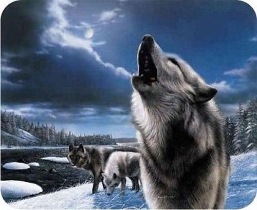 Hot New WOLVES MOUSEPAD Mats Mousepad Hot Gift