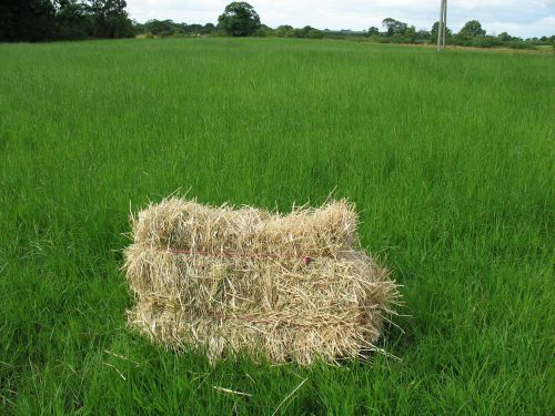 Quality Small Bale Hay ?3.93 per Bale Including Local Delivery Preston &amp; Fylde.