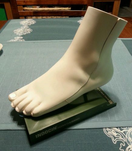 Vintage Anatomical Foot Model,  Podiatry,  medical model, Vintage Anatomy