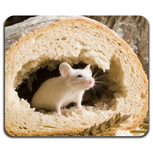 New! Cute Mouse Inside Bread Food Lovely Rodent Cool Computer Mouse Pad Washable