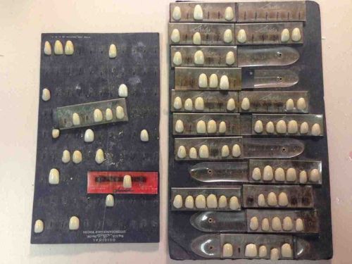 Denture steeles facing teeth