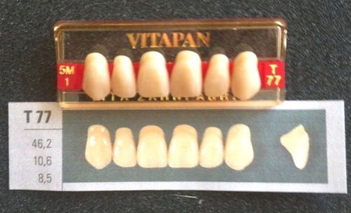 Vitapan Denture Teeth    T77   5M1