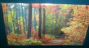 2021 2022  Path in autumn woods 2-Year 3&#034; x  6&#034; Monthly pocket Nature calendar
