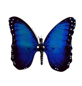 Flexinol Moving Butterfly (Blue Morpho)
