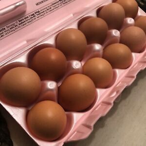 Sale! 15 Rhode Island Red Fertile Hatching Eggs