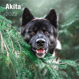 Akita Premium Wall Calendar 2022 - Made in the USA