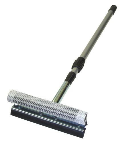 Professional Series Squeegee With Extension Pole