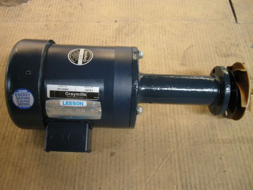Graymills model# tn33h-f3/4  immersion centrifugal pumps leeson motor no reserve for sale