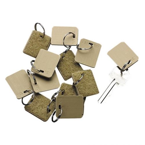 Pm Replacement Key Tags - Plastic - 12 / Pack - Beige (04985)