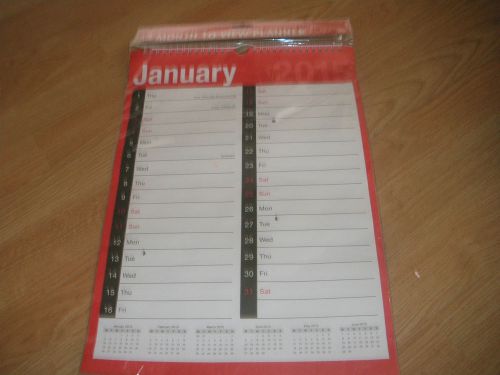 A3 MONTH TO VIEW PLANNER 2015