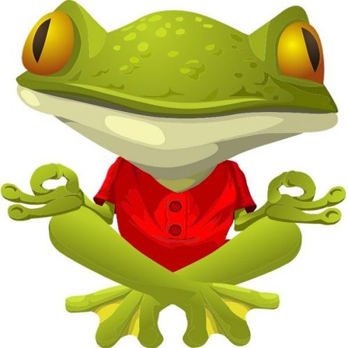 30 Custom Yoga Frog Personalized Address Labels
