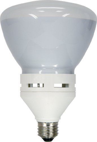 GE Lighting 90814 Energy Smart Bright from The Start CFL 40-watt 1250-Lumen R40
