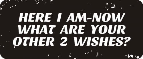 3 - What Are Your Other 2 Wishes Hard Hat / Biker Helmet Sticker  BS186