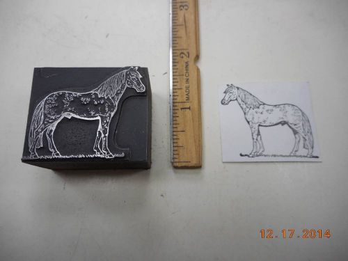 Letterpress Printing Printers Block, Appaloosa Horse