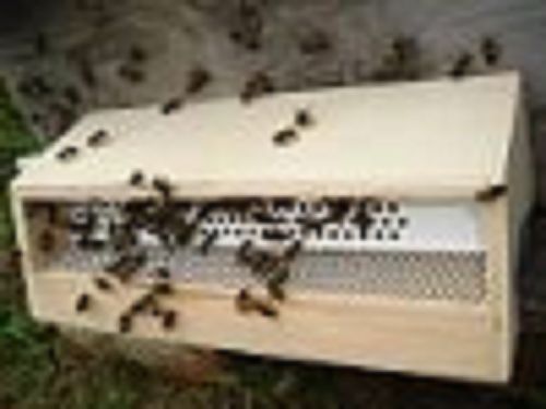 beekeeping,wooden pollen trap, bee