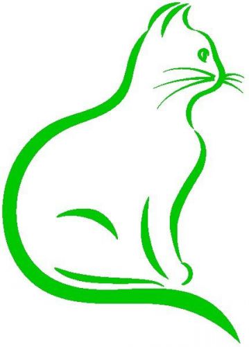 30 Custom Modern Green Cat Personalized Address Labels