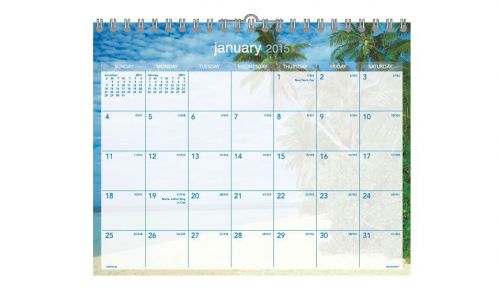AT-A-GLANCE Tropical Escape 2015 Wall Calendar Item#DMWTE5