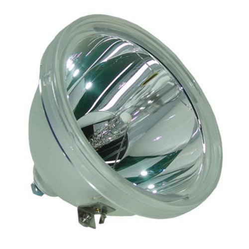 Bare Bulb Replacement for Vivitek 3797048800 RPTV Lamp DLP TV Bulbs LCD