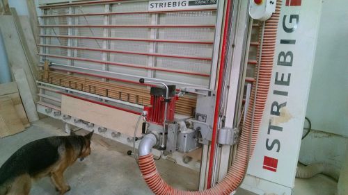 Striebig compact trk panel saw for sale