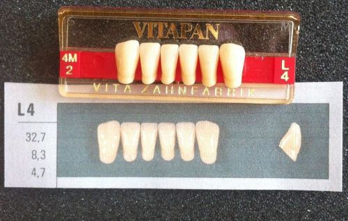 Vitapan Denture Teeth  L4    4M2
