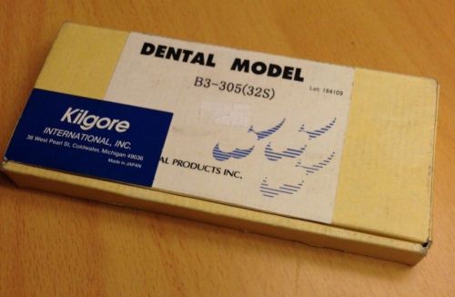 Kilgore Dental Study Model B3-305(32S)