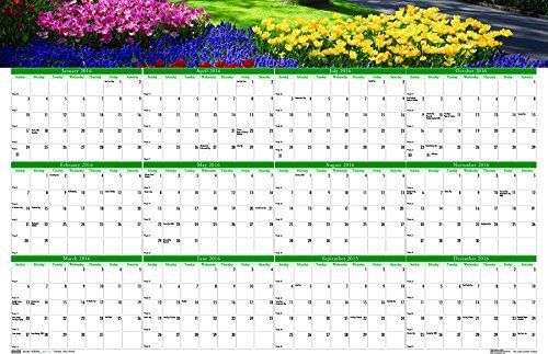 House of Doolittle 2016 Laminated Wipe Off Wall Calendar, 24&#034; x 37&#034;, Earthscapes