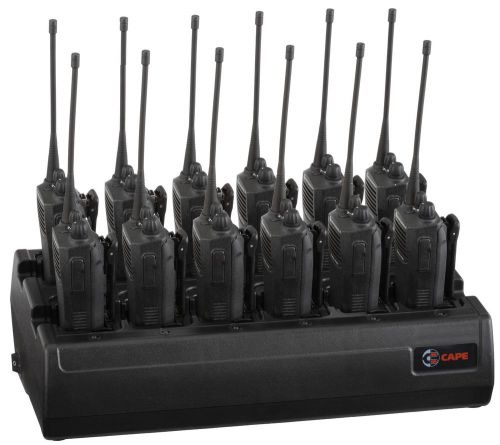 12 x CP200 Radio + ant + 12 x Used (100% cap) Battery + 1 x CAPE 12-way Charger