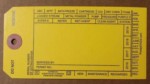 100 5 1/4 X 2 5/8 FIRE EXTINGUISHER PAPER TAG, INSPECTION RECHARGE SAFETY LABEL