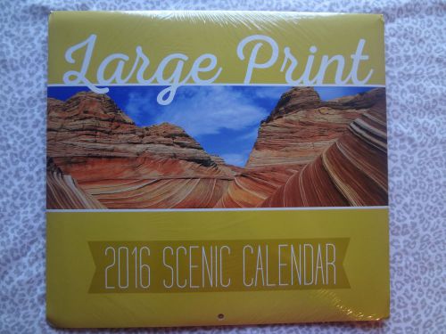 2016 SCENIC Wall Calendar Large Print / Large Grid NEW!! When Open 12in X 22in